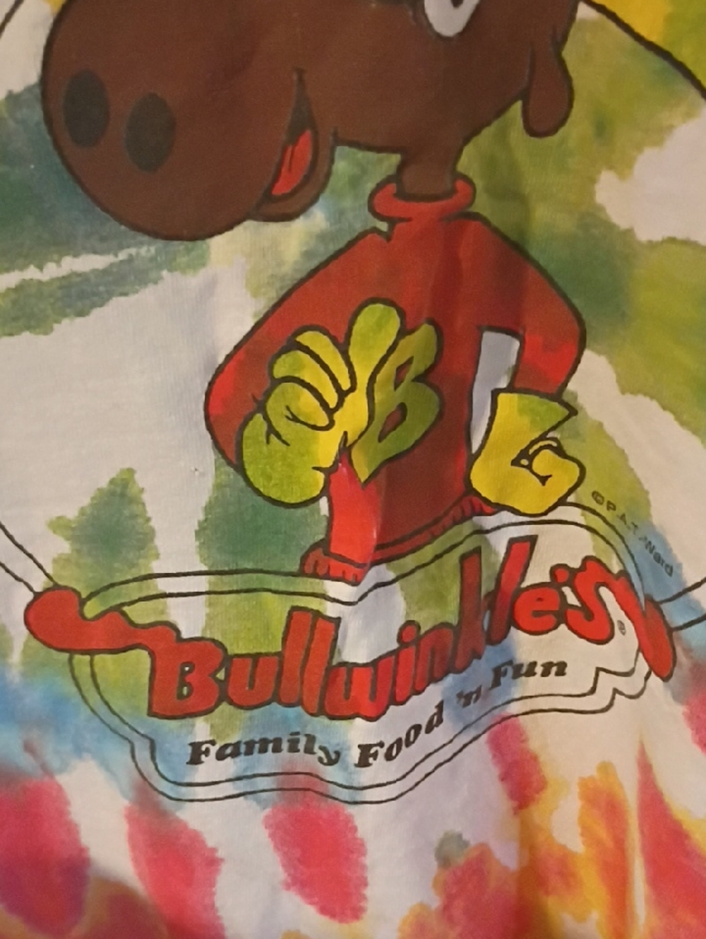 Awesome Bullwinkle Tie Dye - Picture 2 of 3